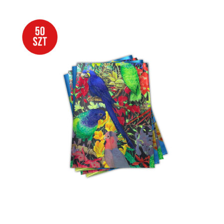 Zdjęcie przedstawia komplet 50 torebek foliopak z folii metalizowanej z tropikalnymi papugami w żywych barwach, idealny do pakowania prezentów lub dekoracji.