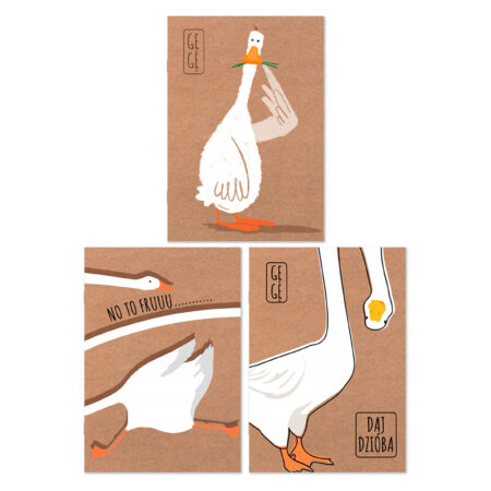 Zdjęcie ukazuje trzy okładki zeszytów z ilustracjami gęsi Pipy na brązowym tle. Na pierwszej okładce widać gęś z zieloną trawką w dziobie, machająca skrzydłem. Na drugiej okładce widoczna jest gęś w ruchu z napisem „NO TO FRUUU…”. Trzecia okładka ukazuje fragment gęsi z widocznym dziobem i napisem „DAJ DZIOBA”.